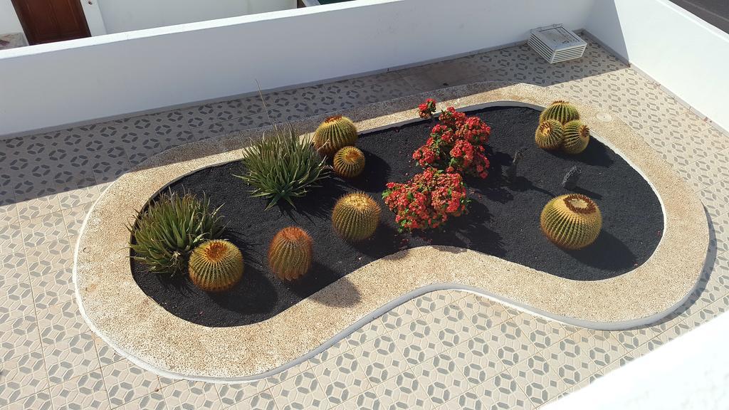 Panelo Cactus Apartment Пуэрто дель Кармен Экстерьер фото